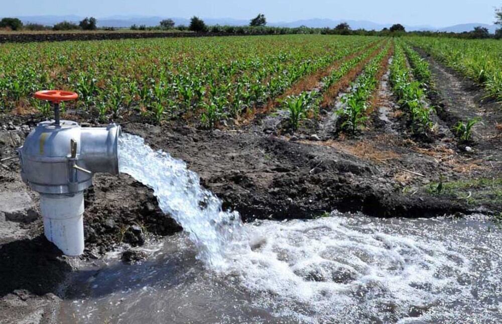 Fuentes de agua subterránea. Foto: Observatorio Ambiental de Bogotá