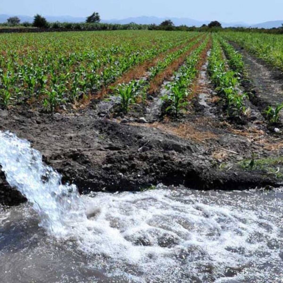 Bogotá evalúa exploración de yacimientos subterráneos de agua