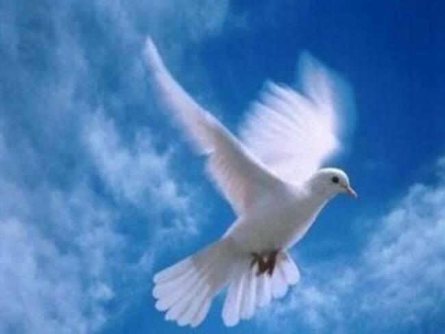 ¿Cuál es su mensaje de paz en esta Semana Santa?