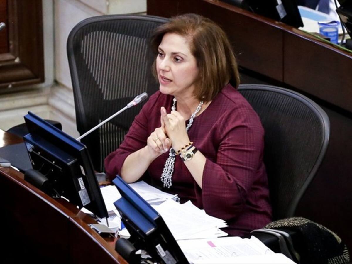 Centro Democrático radica proyecto que establece tres días al año sin IVA