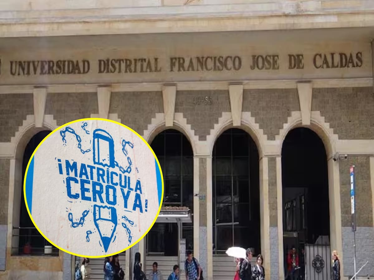 Matrícula cero en la Universidad Distrital: Estas son los programas de pregrado que aplican