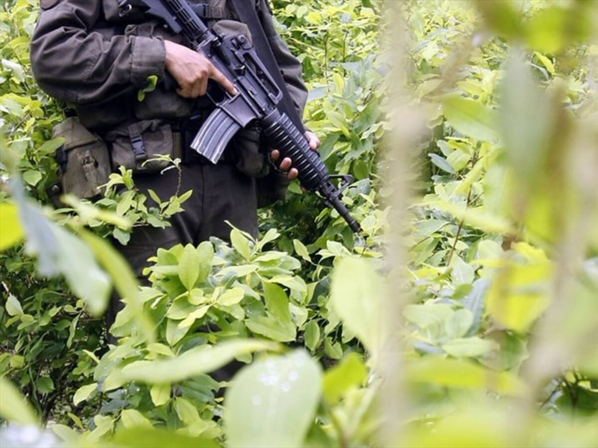 Farc se enfrentan con disidencia en el Caquetá