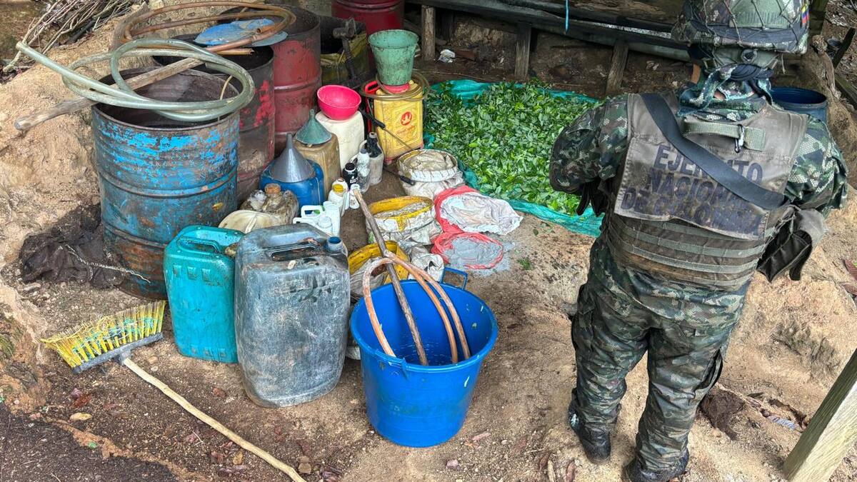Más de 50 laboratorios para el procesamiento de coca han sido destruidos en Córdoba y Antioquia