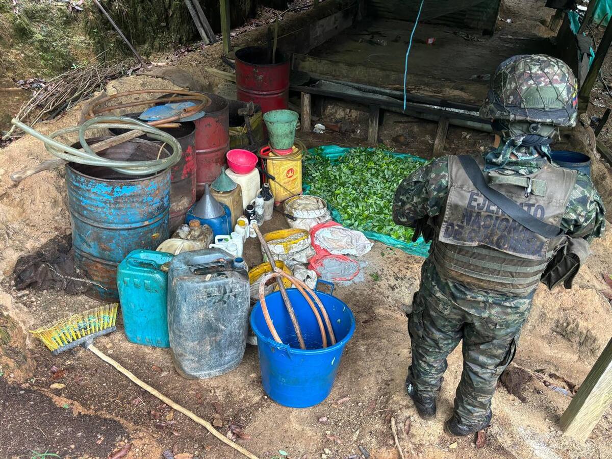 Más de 50 laboratorios para el procesamiento de coca han sido destruidos en Córdoba y Antioquia