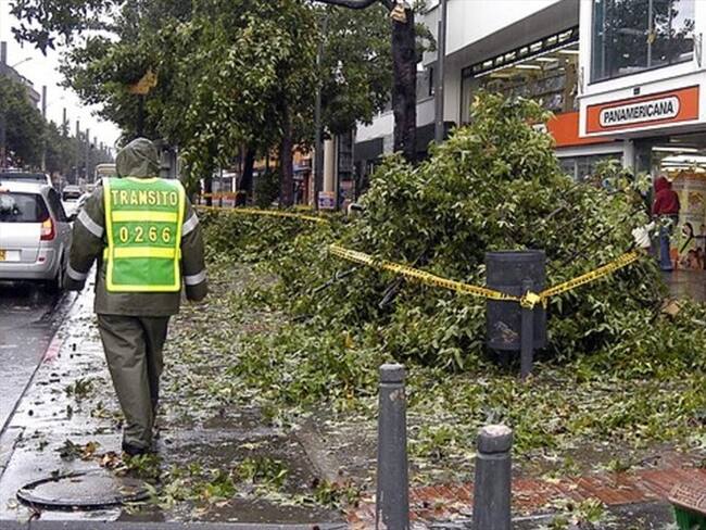 Imagen de referencia. Foto: Colprensa