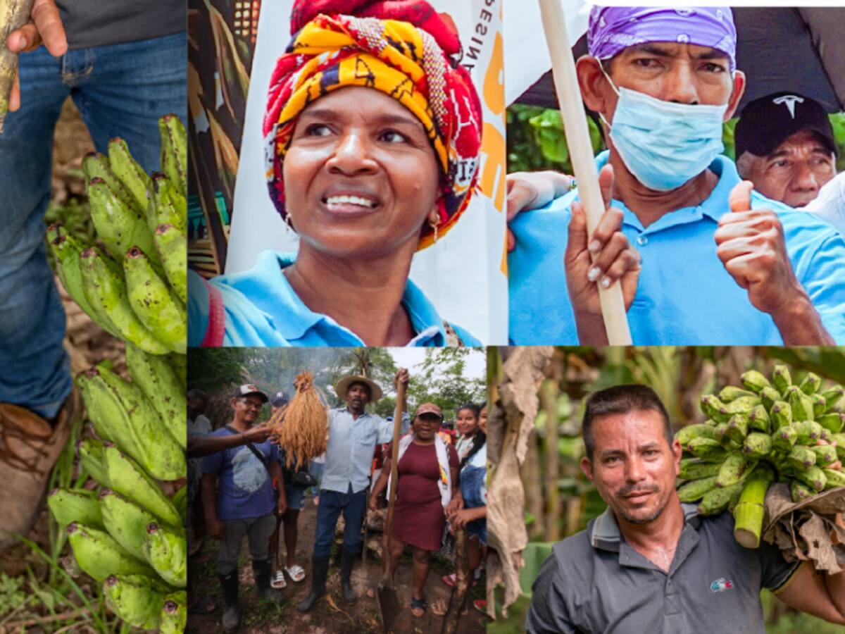 Coexiste un gran acuerdo nacional para la redistribución de la tierra: director de la ANT