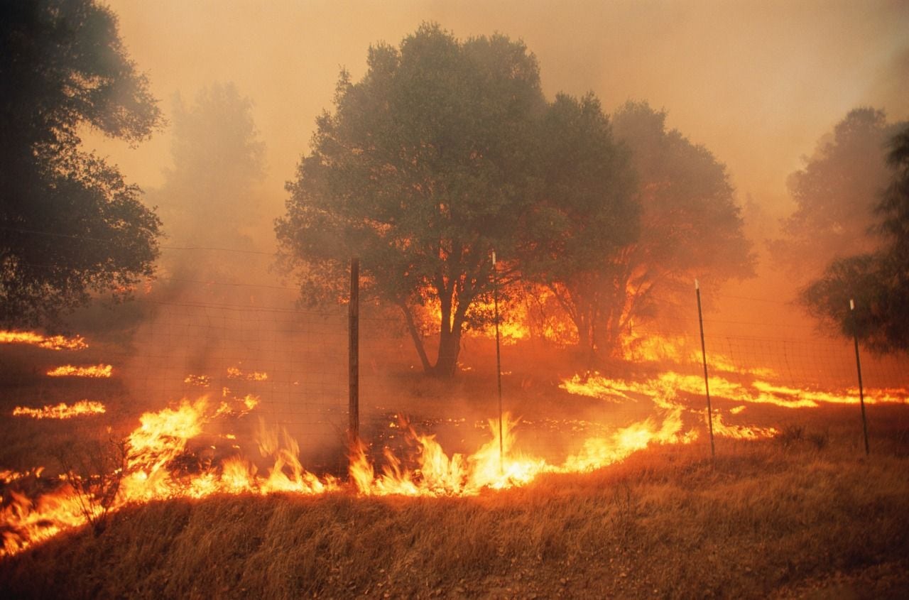 Alertan a municipios de Córdoba por posibles incendios forestales y deslizamientos de tierra. Foto: Getty Images (referencia).