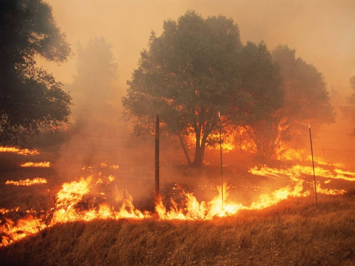 Alertan a municipios de Córdoba por posibles incendios forestales