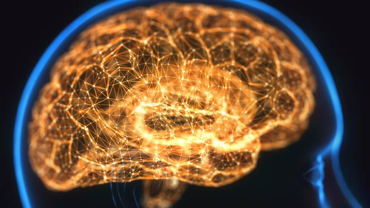 ¿Hay alimentos que previenen las enfermedades neurodegenerativas? Nutricionista entregó detalles