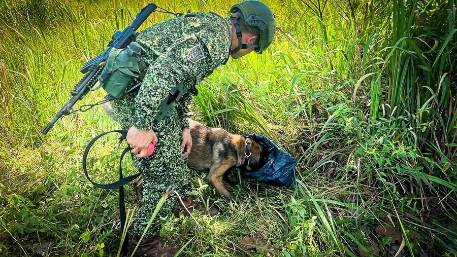 Imagen de referencia de operaciones del Ejército. Foto: Colprensa.