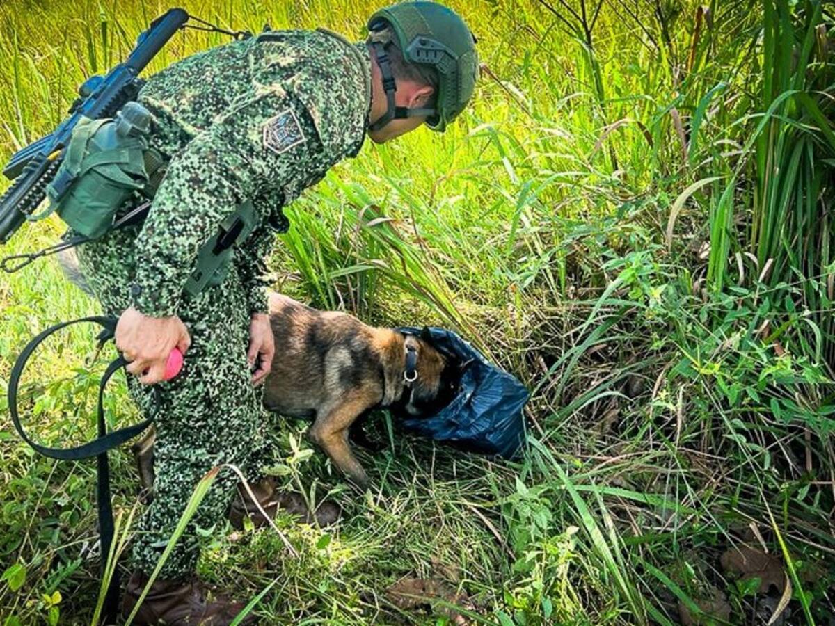 Más de 30 explosivos fueron desactivados controladamente en el Cauca