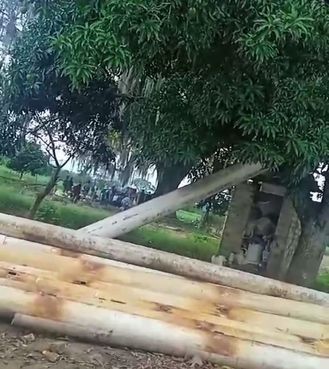 El suceso se registró en la finca El Blancal, zona plana del municipio de Corinto, Cauca. Crédito: Cortesía.