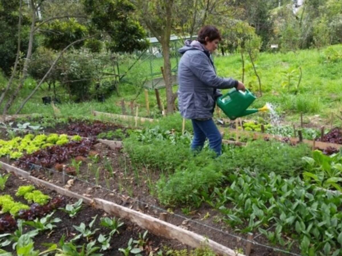 Advierten posible crisis alimentaria en el país