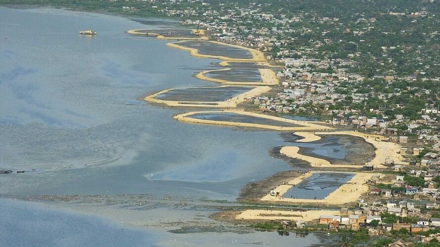 se han perdido cerca de 54 hectáreas de manglar en la Ciénaga de la Virgen. Foto: Colprensa / ARCHIVO