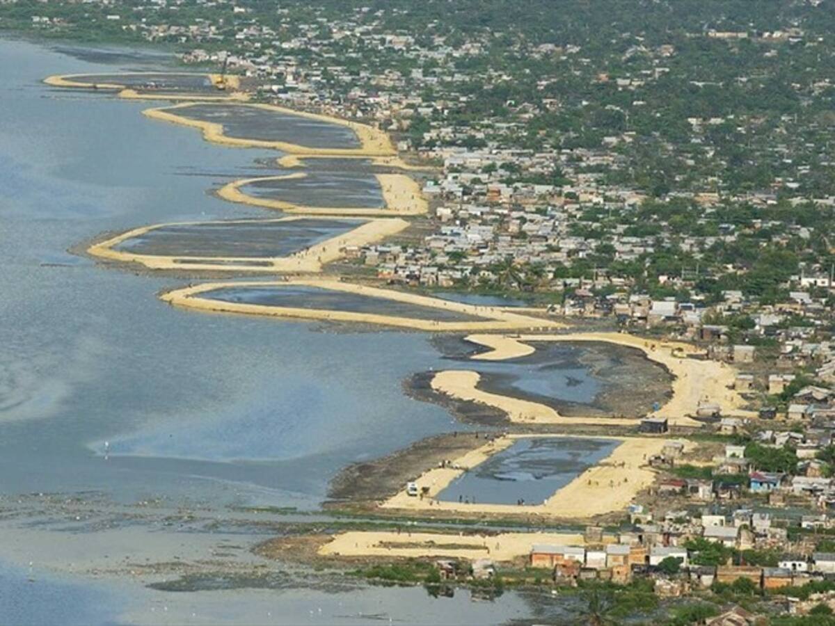 Judicializan a dos hombres señalados de talar manglares y parcelar la Ciénaga de la Virgen