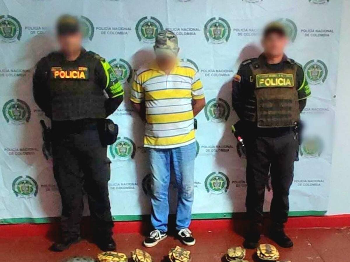 Incautan 30 hicoteas que iban a ser comercializadas en Córdoba: un hombre fue detenido