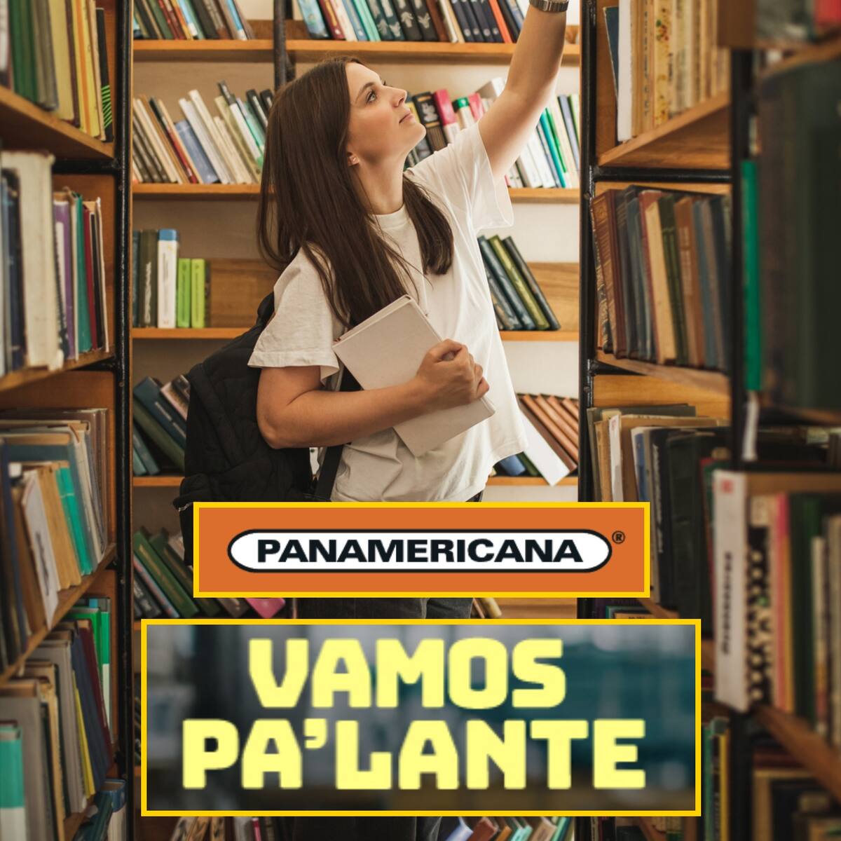 Vamos Pa’ Lante 2025 recibió aporte de 400 millones de pesos de Panamericana