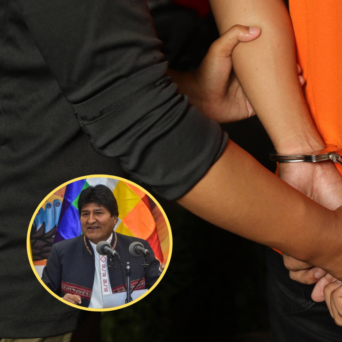 Detienen a ex viceministro boliviano que fue “zar” antidrogas del Gobierno de Evo Morales