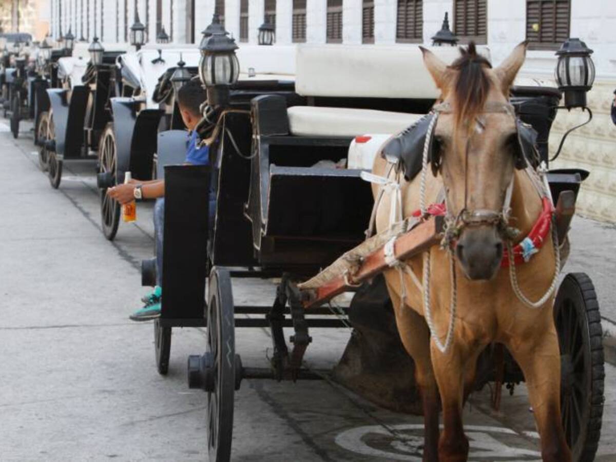 Detención domiciliaria a cobradores de 4.500 dólares por paseo en coche en Cartagena