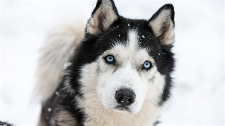 Imagen de referencia. Foto: Getty Images