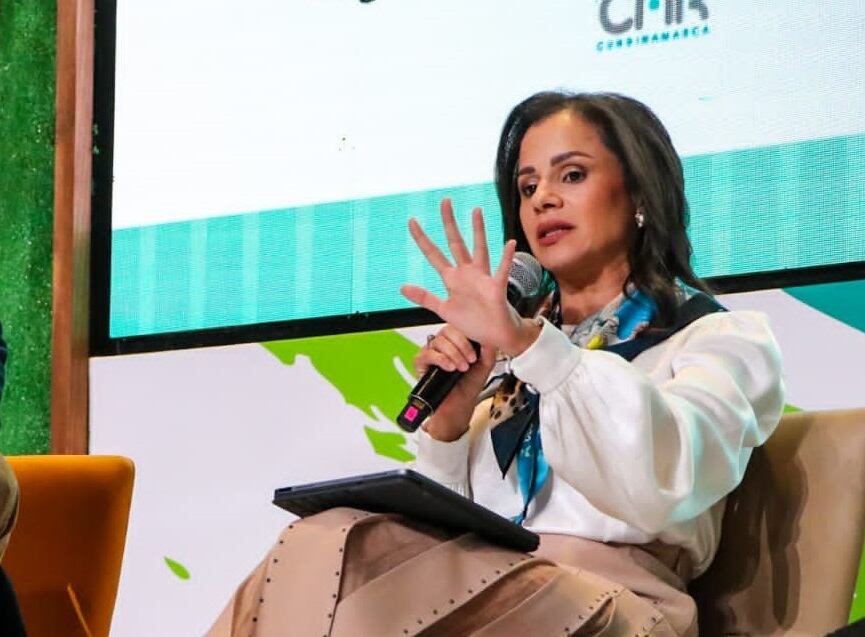 Luz Stella Murgas, presidenta de Naturgas