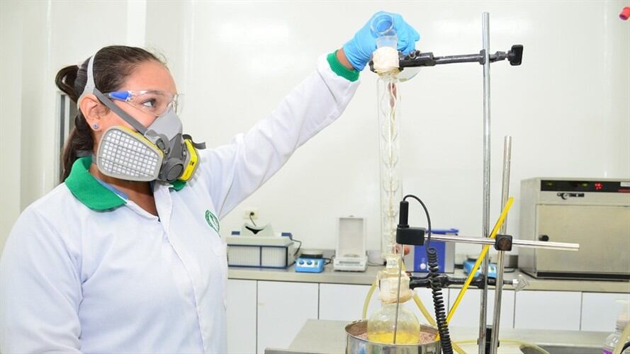 El logro se le atribuye a la Universidad de Córdoba, después de 10 años de estudio. . Foto: Cortesía