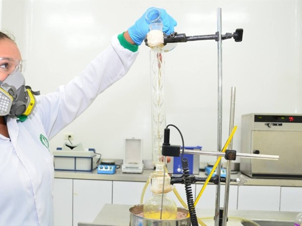 En Córdoba logran patente para la cura de la leishmaniasis