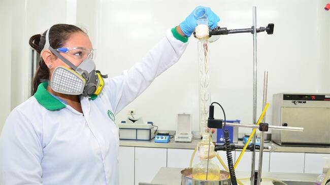 El logro se le atribuye a la Universidad de Córdoba, después de 10 años de estudio. . Foto: Cortesía