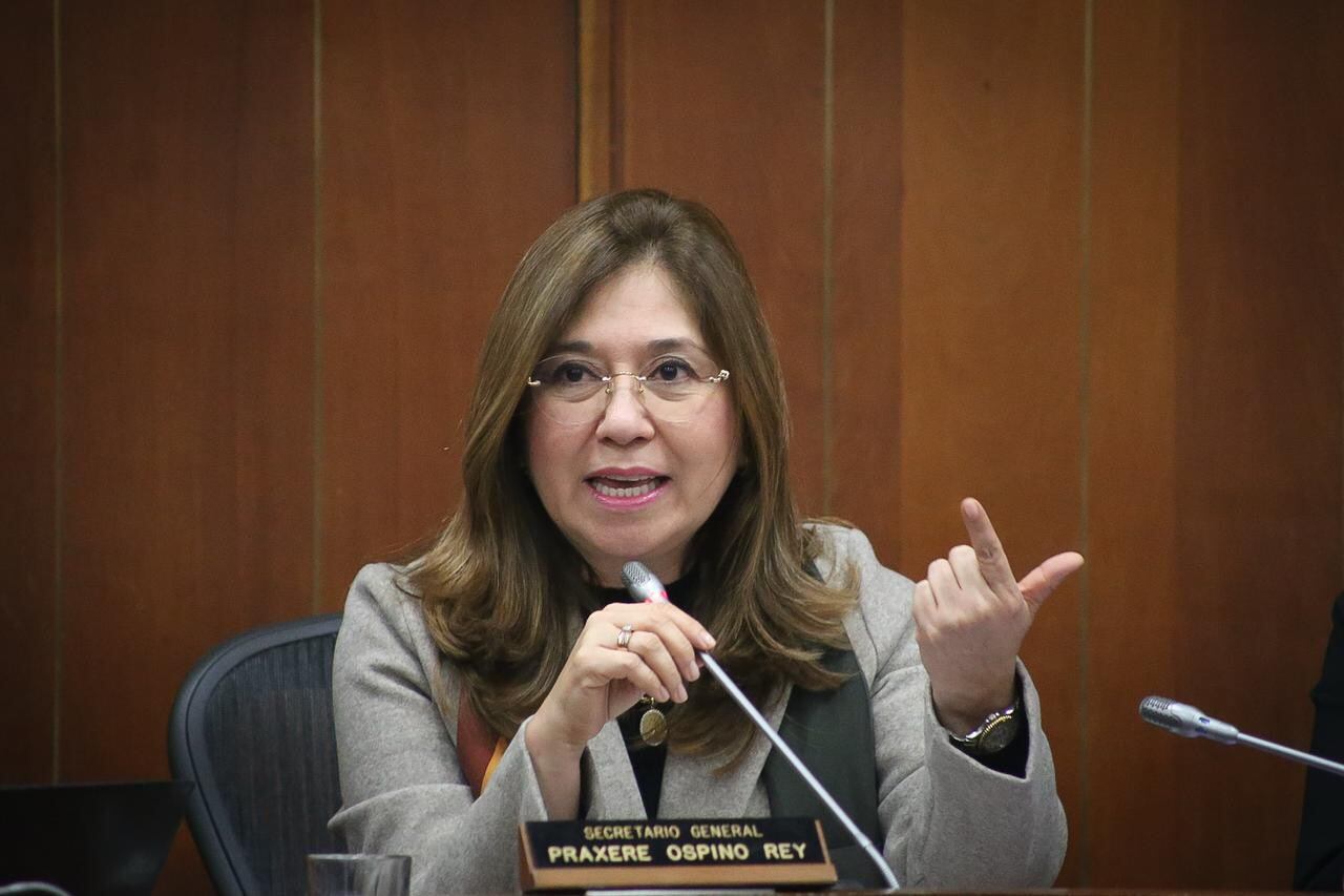 “Dilian no nos sugirió nada”: Hurtado sobre supuesta “traición” al Gobierno por votación de consulta