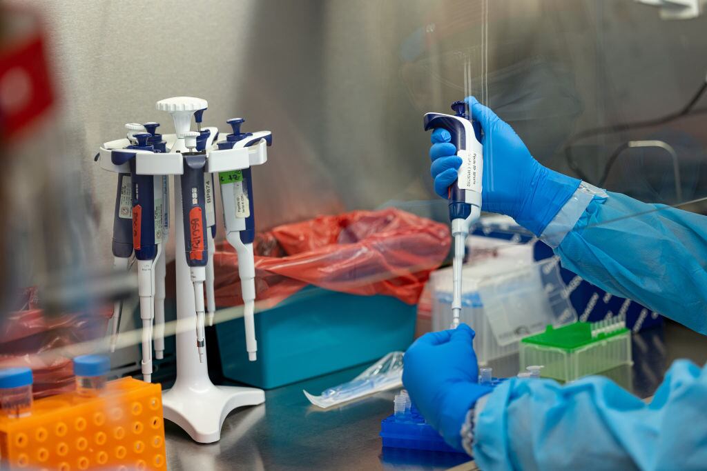 Brote Mpox. Foto: Nathan Posner/Anadolu Agency via Getty Images.