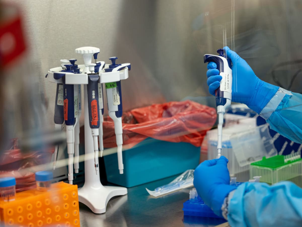 OMS declaró nuevamente el mpox como emergencia internacional de salud pública