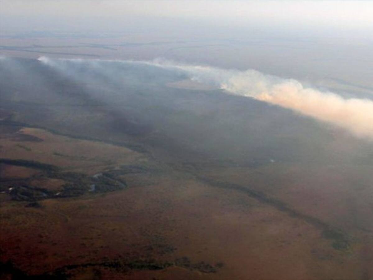 Todos los años hay incendios: jefe del Parque Nacional Natural El Tuparro