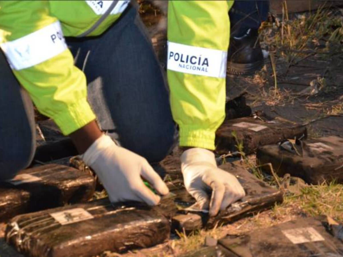 Ecuador ha decomisado más de 180 toneladas de droga en lo que va de 2024, según ministra