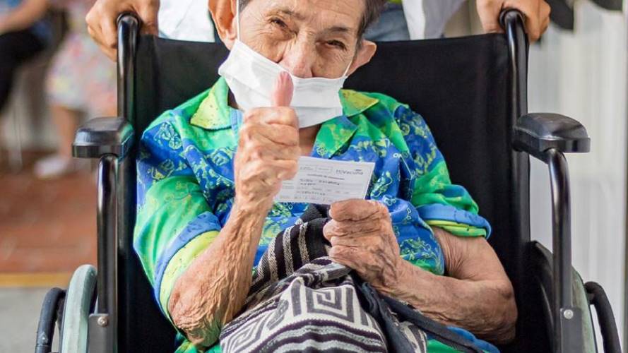 carné de vacunación / suministrada