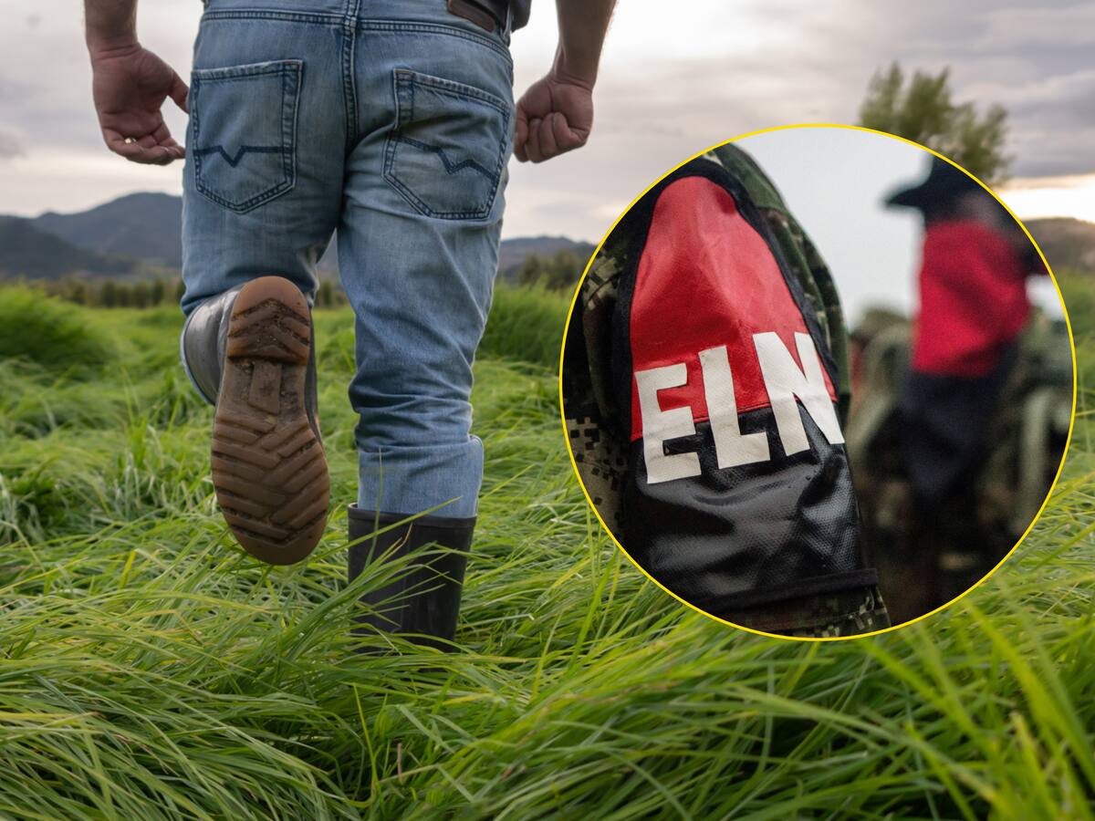 Caos en Catatumbo: Fiscalía señala al ELN por 37 homicidios y más de 7.600 desplazamientos forzados