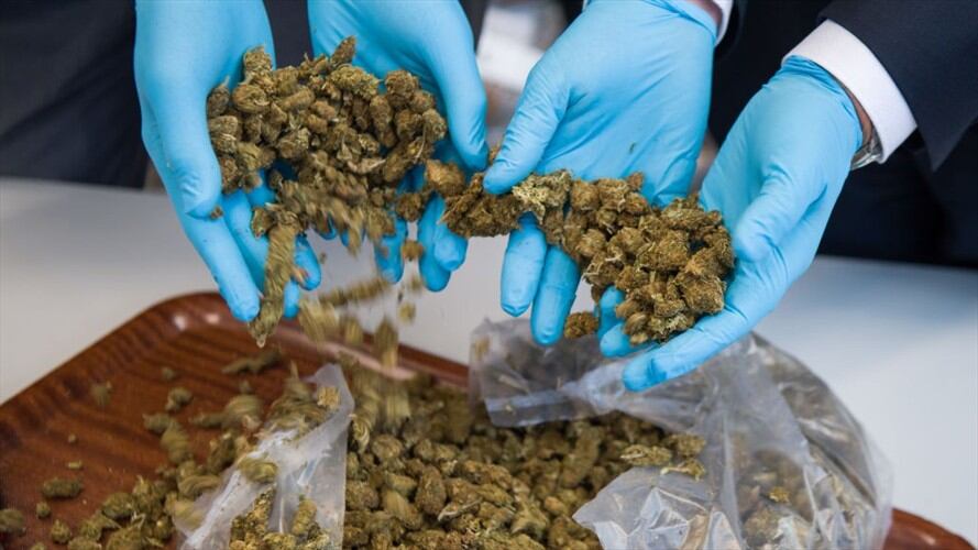 Cuatro nicaragüenses pretendían transportar una tonelada de marihuana hasta Centroamérica. Foto: Getty Images / PETER KNEFFEL