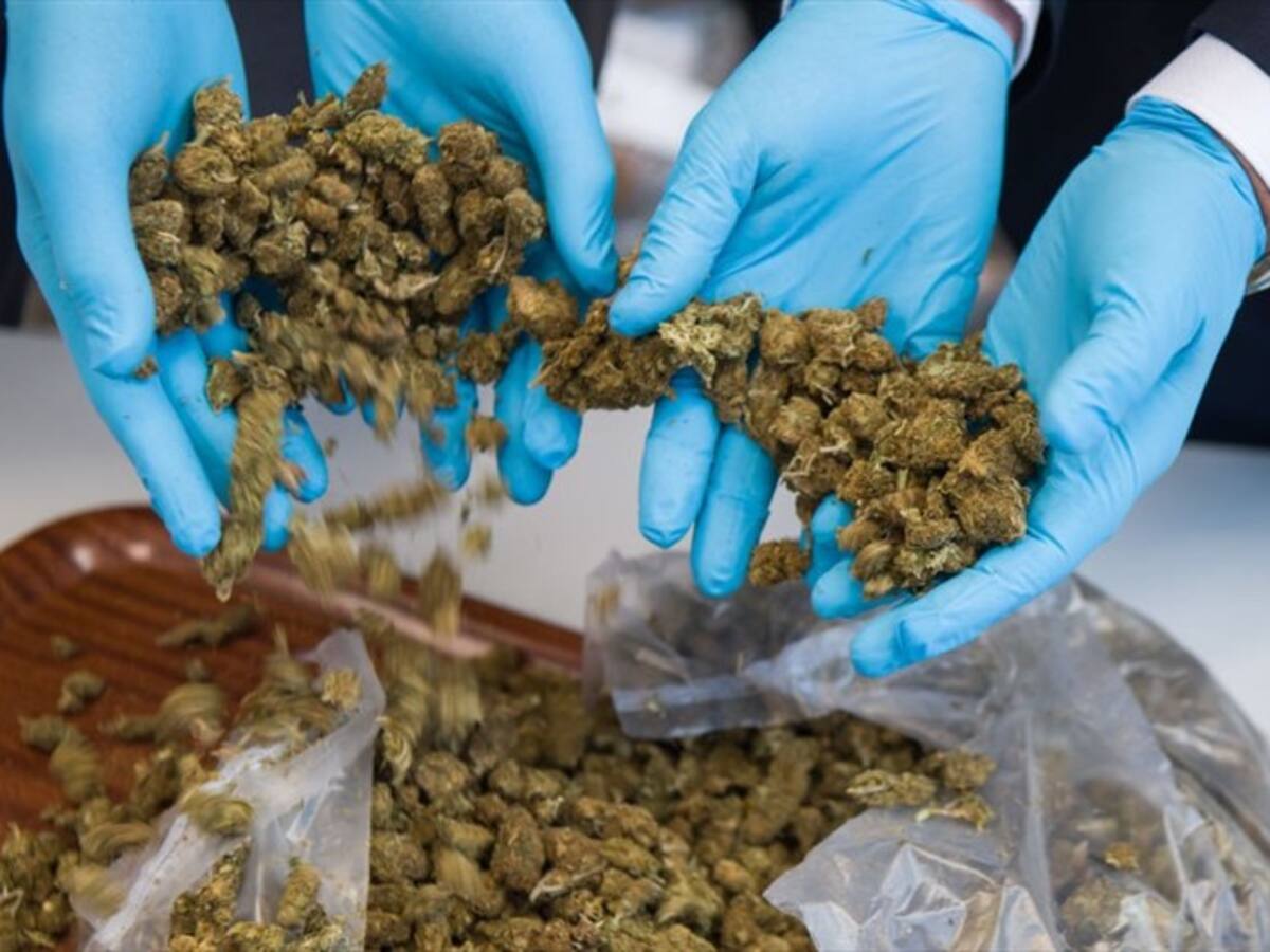 Cuatro nicaragüenses fueron capturados con cerca de una tonelada de marihuana