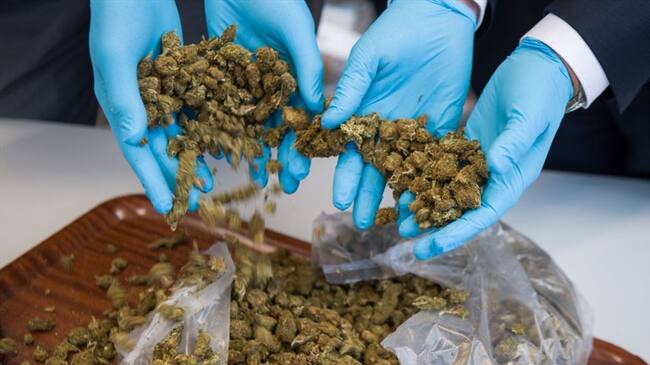 Cuatro nicaragüenses pretendían transportar una tonelada de marihuana hasta Centroamérica. Foto: Getty Images / PETER KNEFFEL