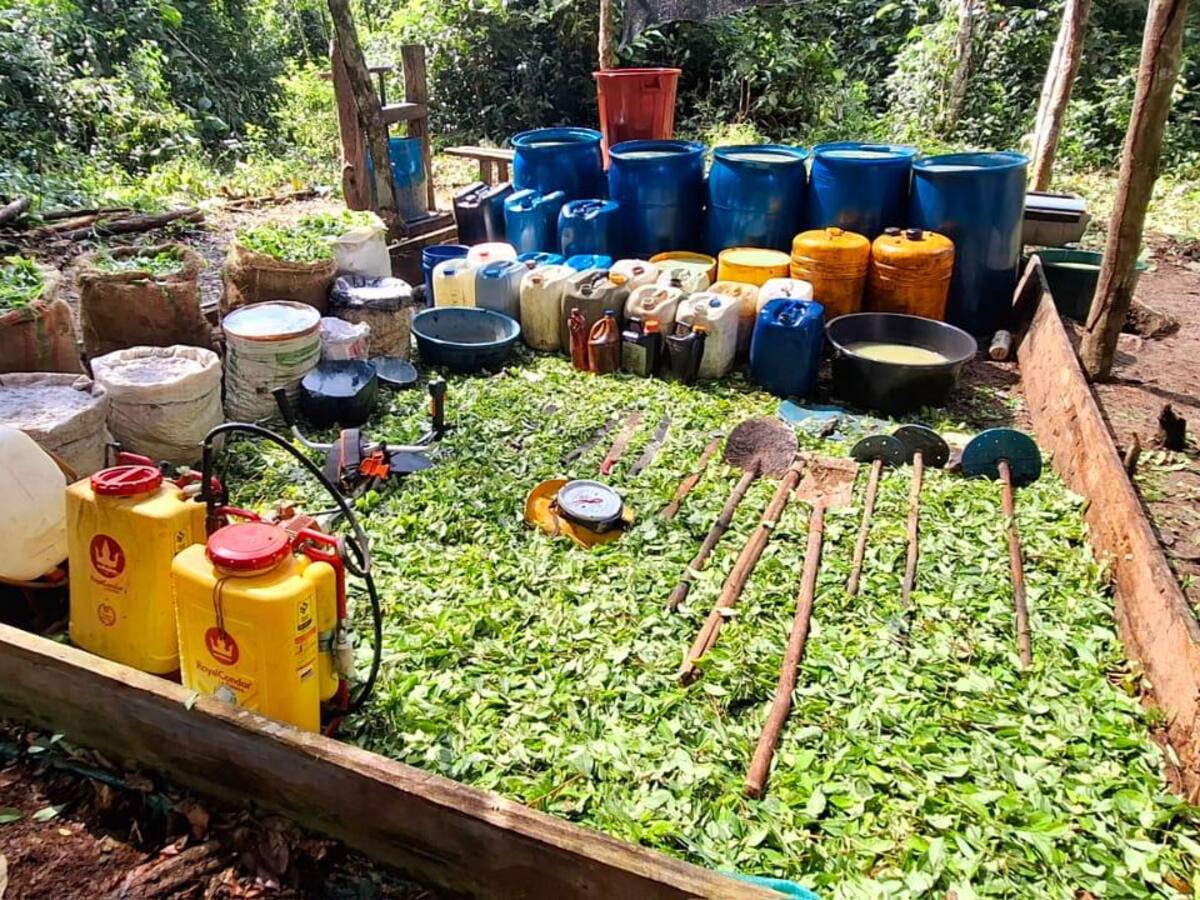 Ejército destruyó cuatro laboratorios para el procesamiento de coca en Córdoba