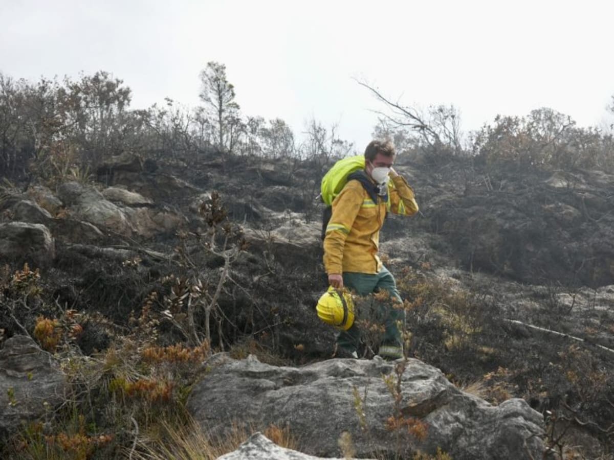 Parques Nacionales ordena cierre temporal del Santuario de Fauna y Flora Iguaque