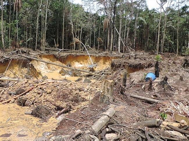 Alerta por deforestación en Colombia. Foto: Colprensa
