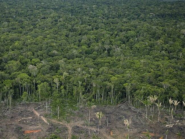 El evento musical se realizará el 27 de septiembre de 10:30 a 11:30 am en el Auditorio del Instituto SINCHI en Leticia.. Foto: Getty Images