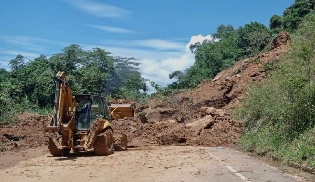 Imagen de referencia