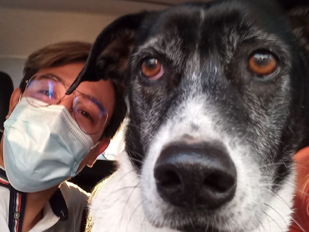 Así fue el rescate de Luna: la perra abandonada que corrió detrás de sus dueños en Bucaramanga