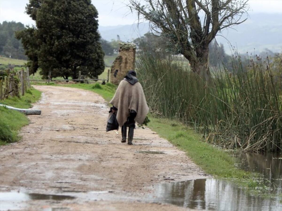 Ya inició la subasta para llevar internet a más de 5.000 poblaciones