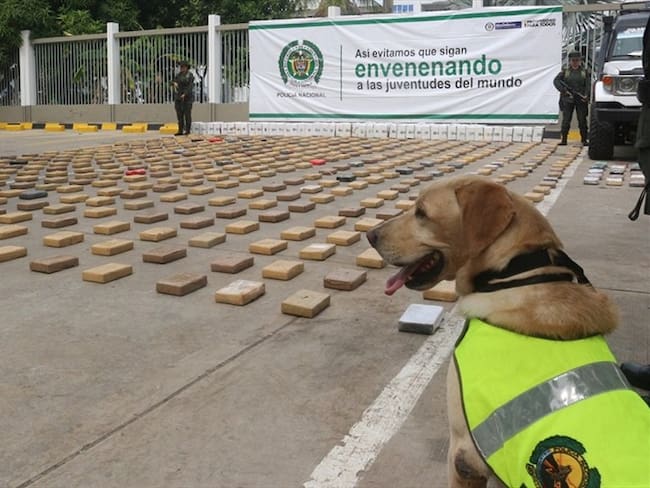 Entre plátanos fritos fue hallada media tonelada de cocaína en Cartagena. Foto: Prensa policía de Cartagena