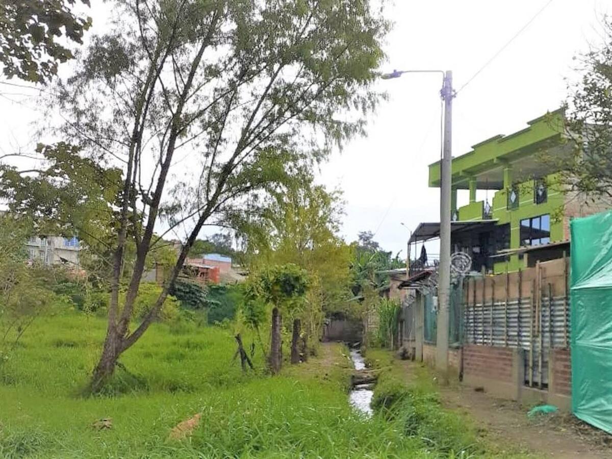 Un humedal de Popayán en riesgo por labores de construcción y venta de lotes