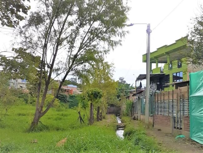 El humedal está ubicado en el barrio La Heroica de la capital del Cauca. Crédito: Cristian Ortega.