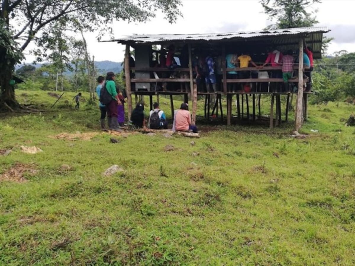 Joven indígena resultó herido al pisar una mina antipersonal en Dabeiba, Antioquia