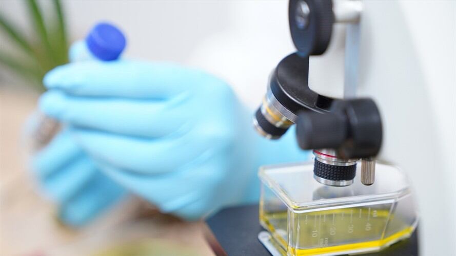 Los detenidos que resulten positivos al examen de COVID-19 tendrán que ser traslados a lugares aptos para el tratamiento o a instituciones de salud. Foto: Getty Images